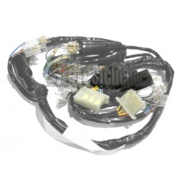 IMPIANTO ELETTRICO